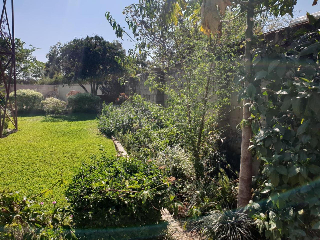 The Oasis Evergreen Lodge Choma Luaran gambar