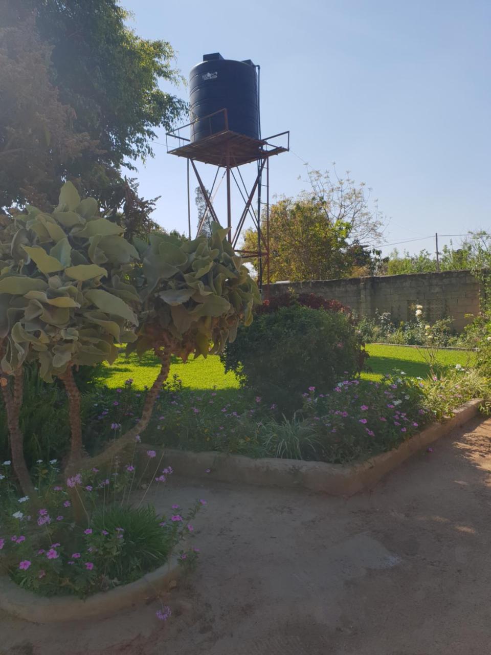 The Oasis Evergreen Lodge Choma Luaran gambar