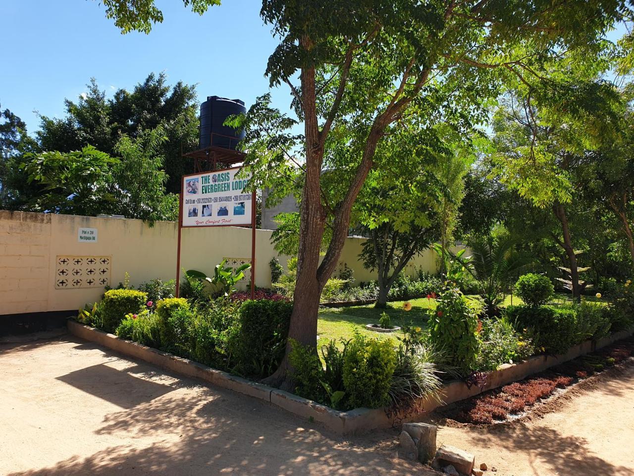 The Oasis Evergreen Lodge Choma Luaran gambar