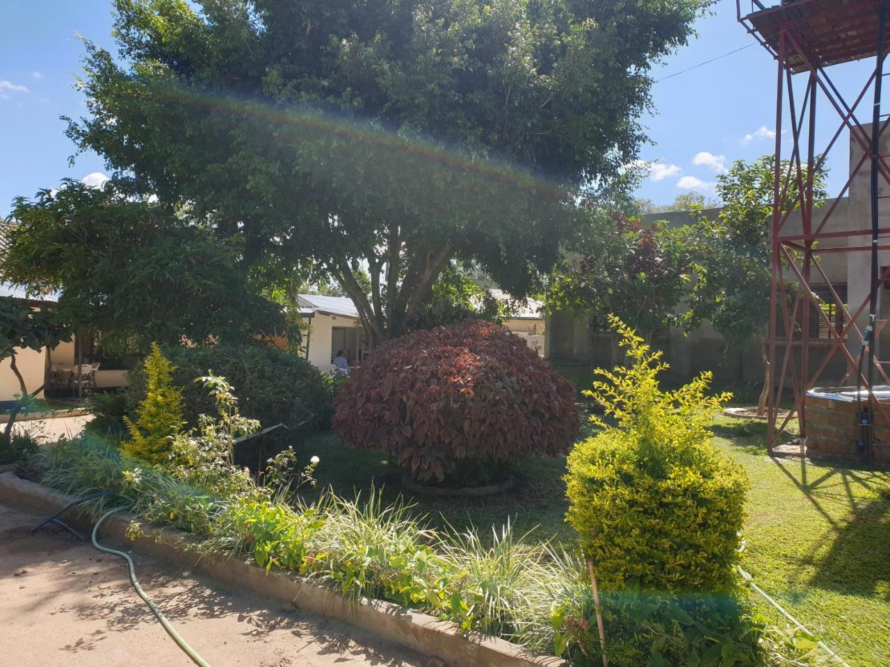 The Oasis Evergreen Lodge Choma Luaran gambar